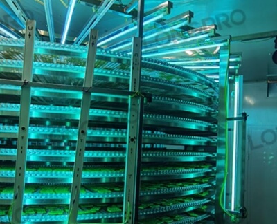 食品廠防爆紫外線殺菌燈：保障食品生產環(huán)境安全的利器！