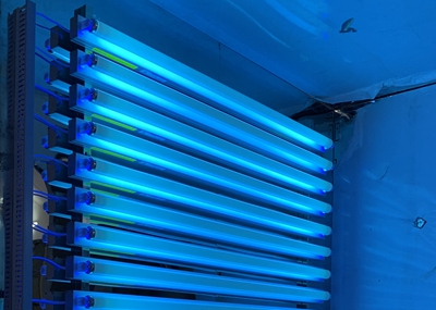 如何通過UV紫外光照實驗箱構建動物皮膚光老化模型？